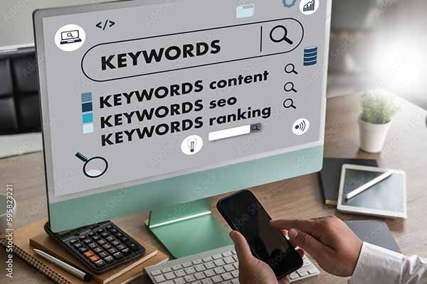 Website SEO audit and search ranking analysis